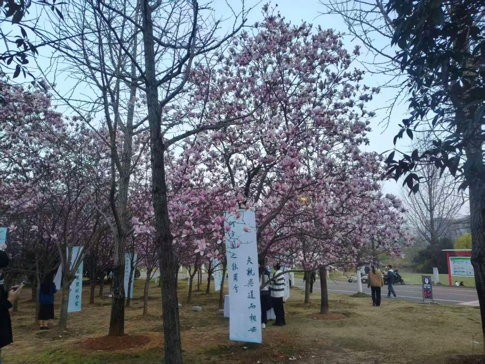 09-06