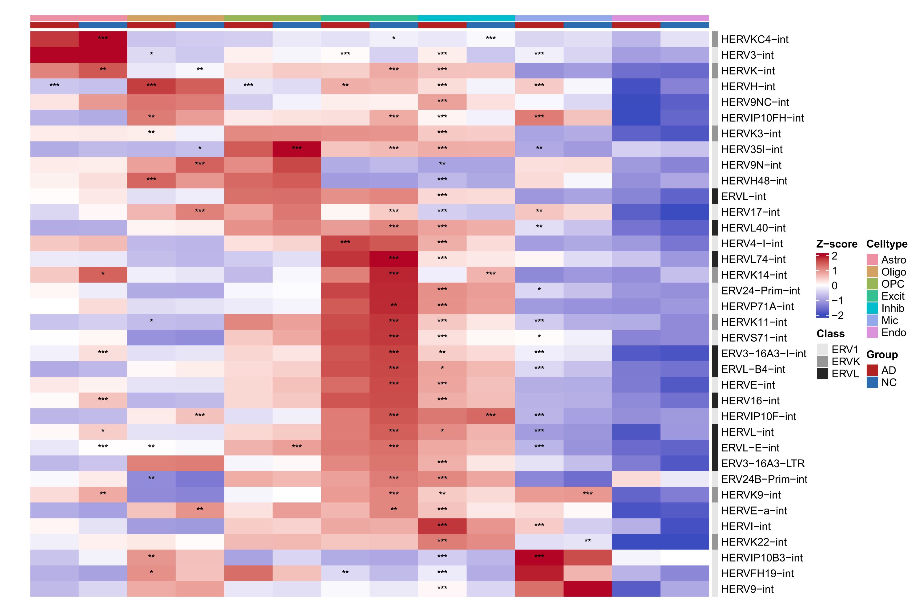 04HERV_subfamily_scTE_celltype_avgexp_heatmap