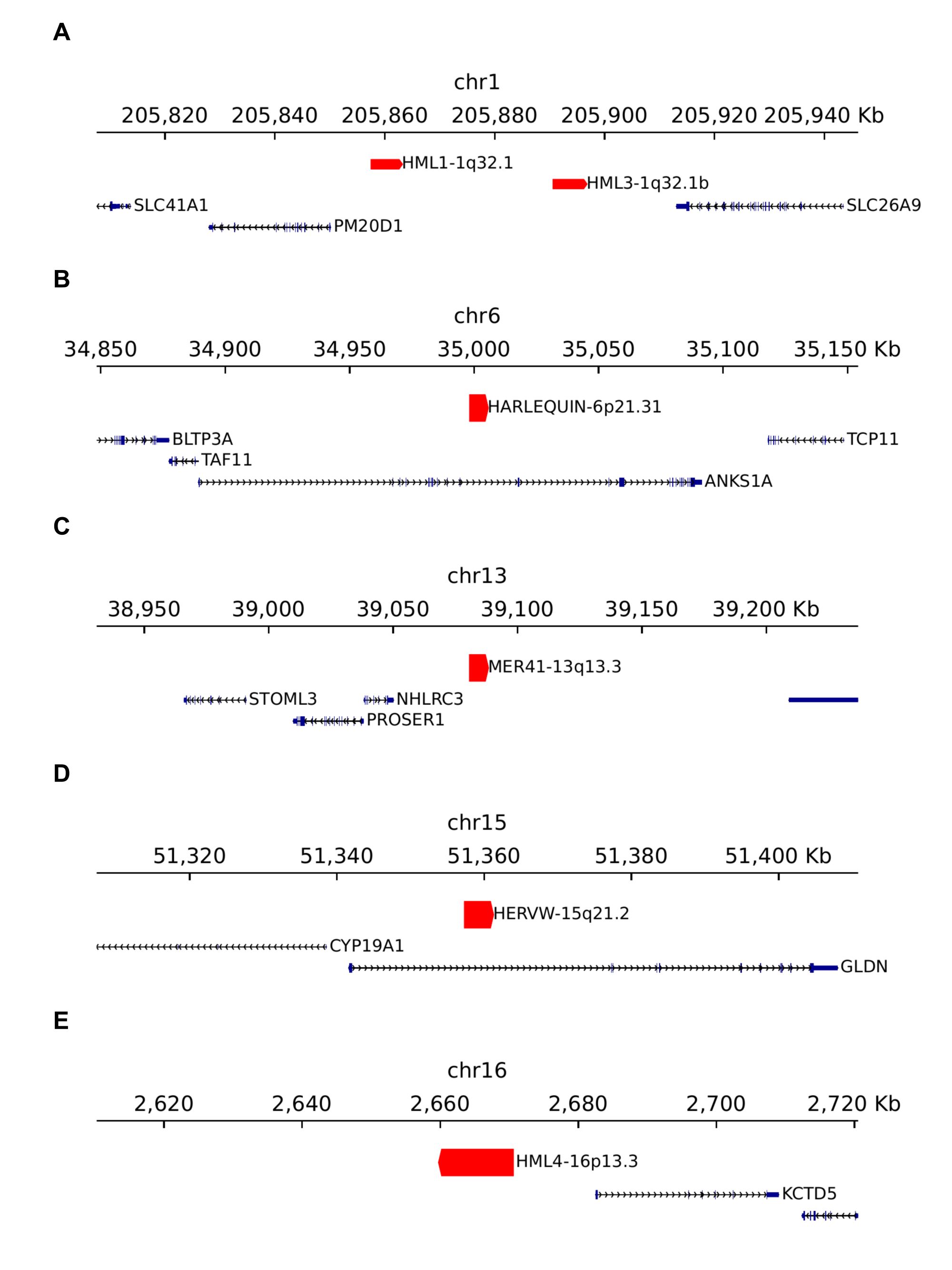 09genome_pos_noNCRNA