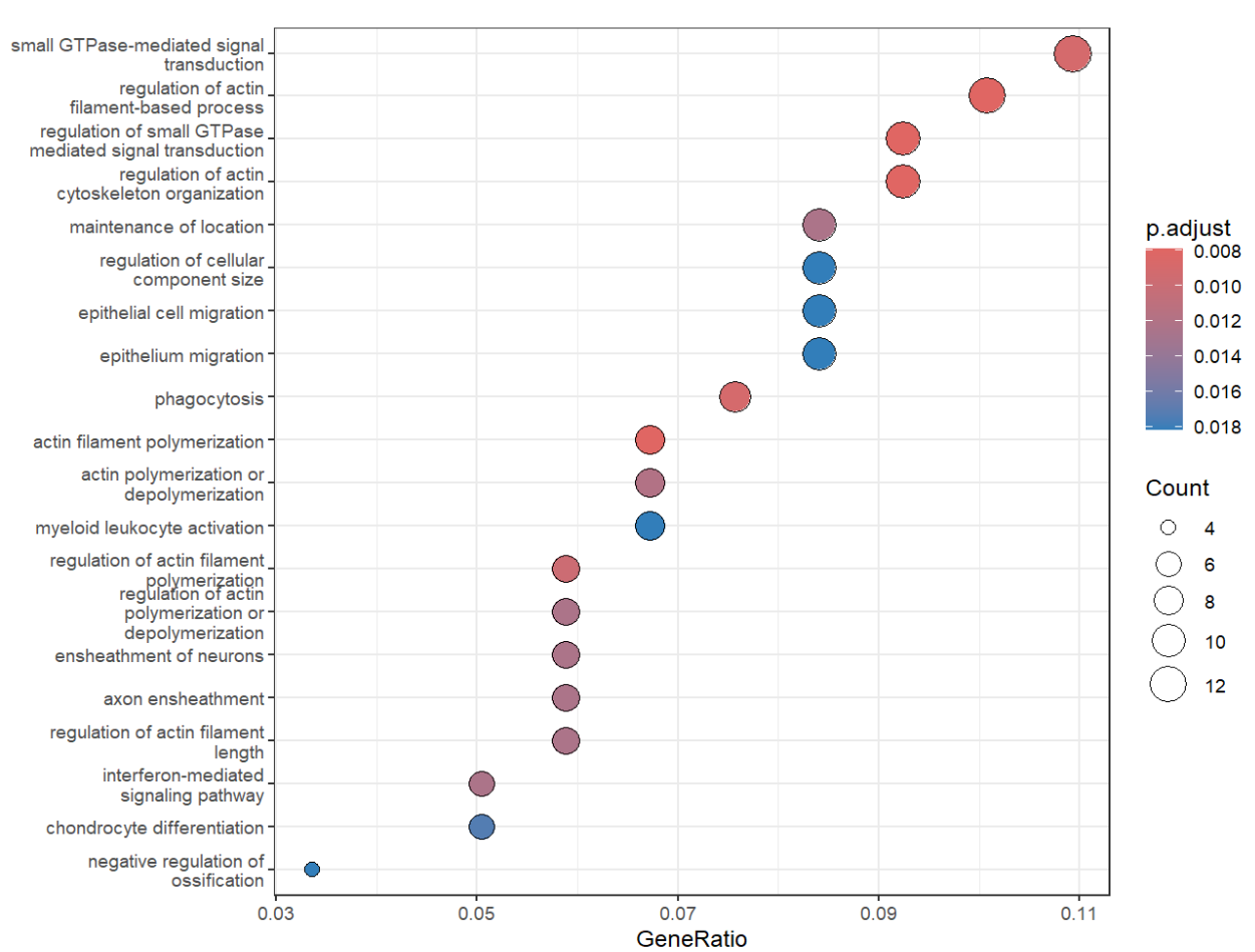 GSE233208_practice11