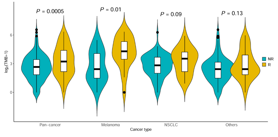 violin_plot2