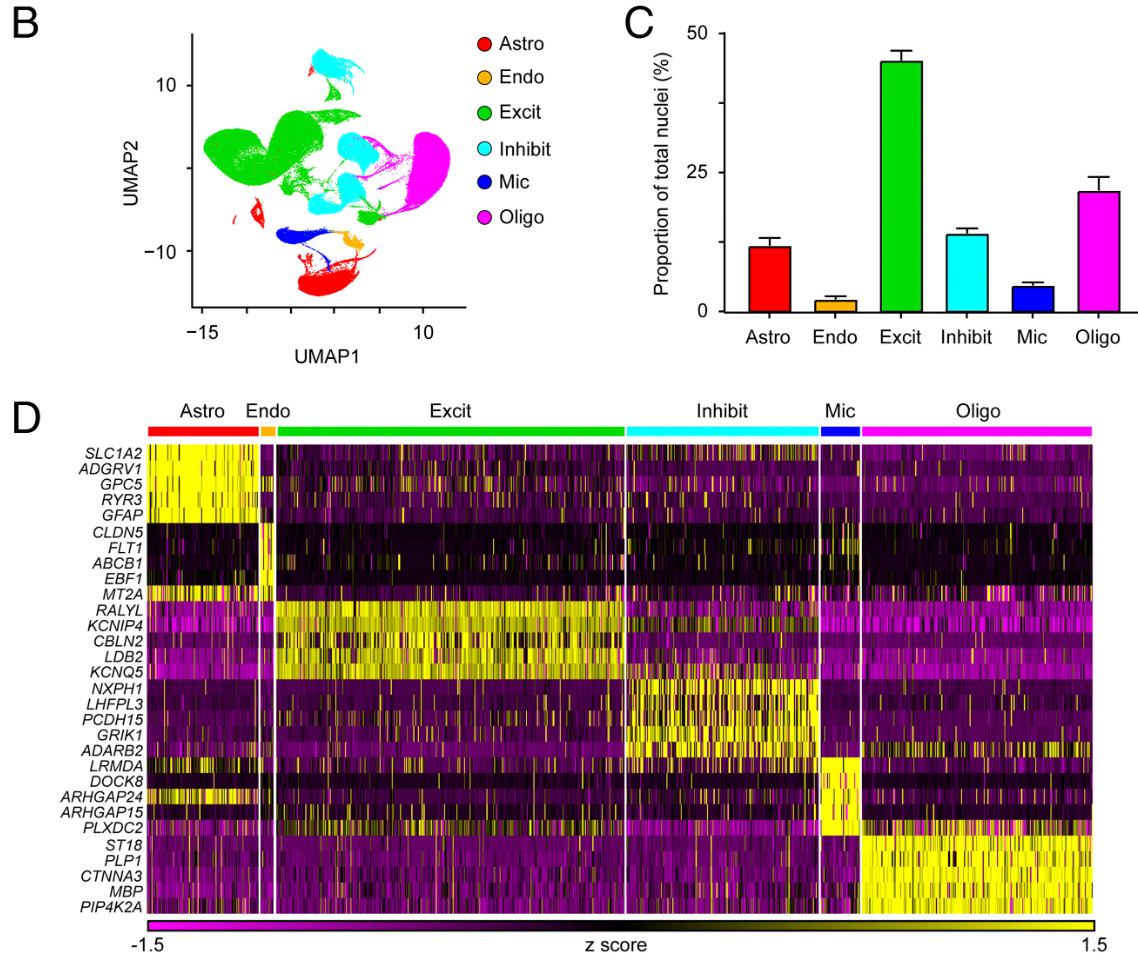跟着教程做复现_GSE157827_16_1