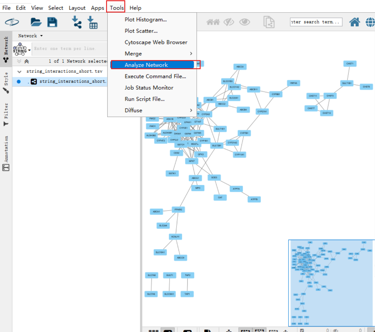 Cytoscape1