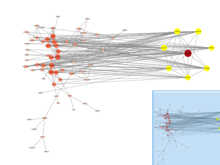 Cytoscape11