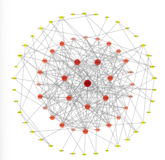 Cytoscape13