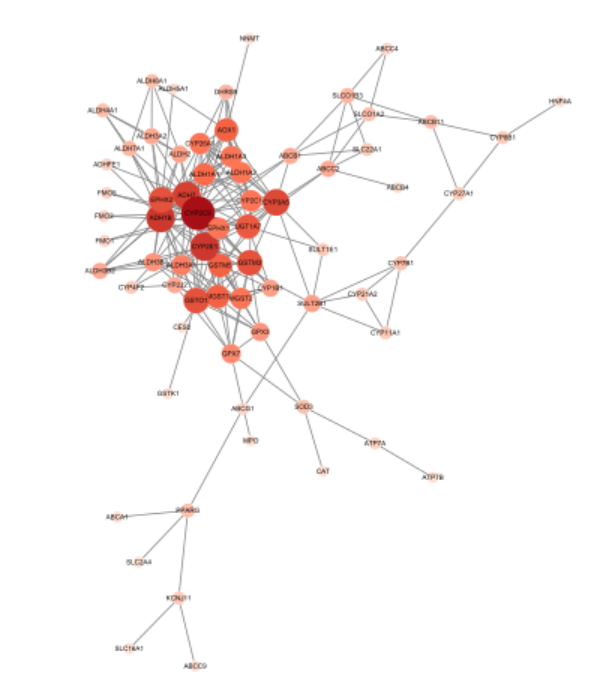 Cytoscape7