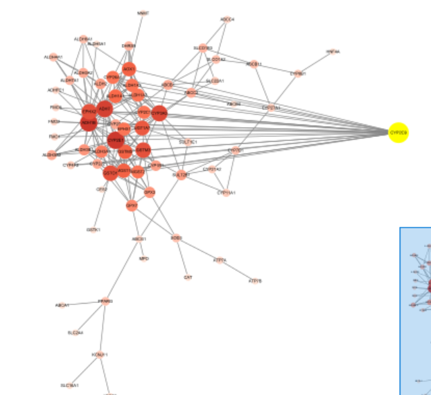 Cytoscape9