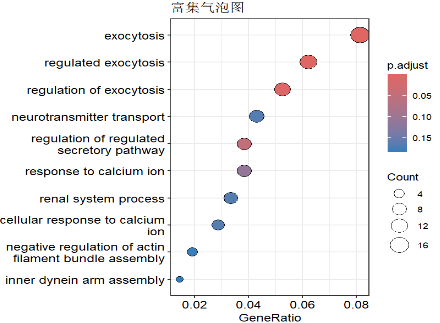 GO富集分析4