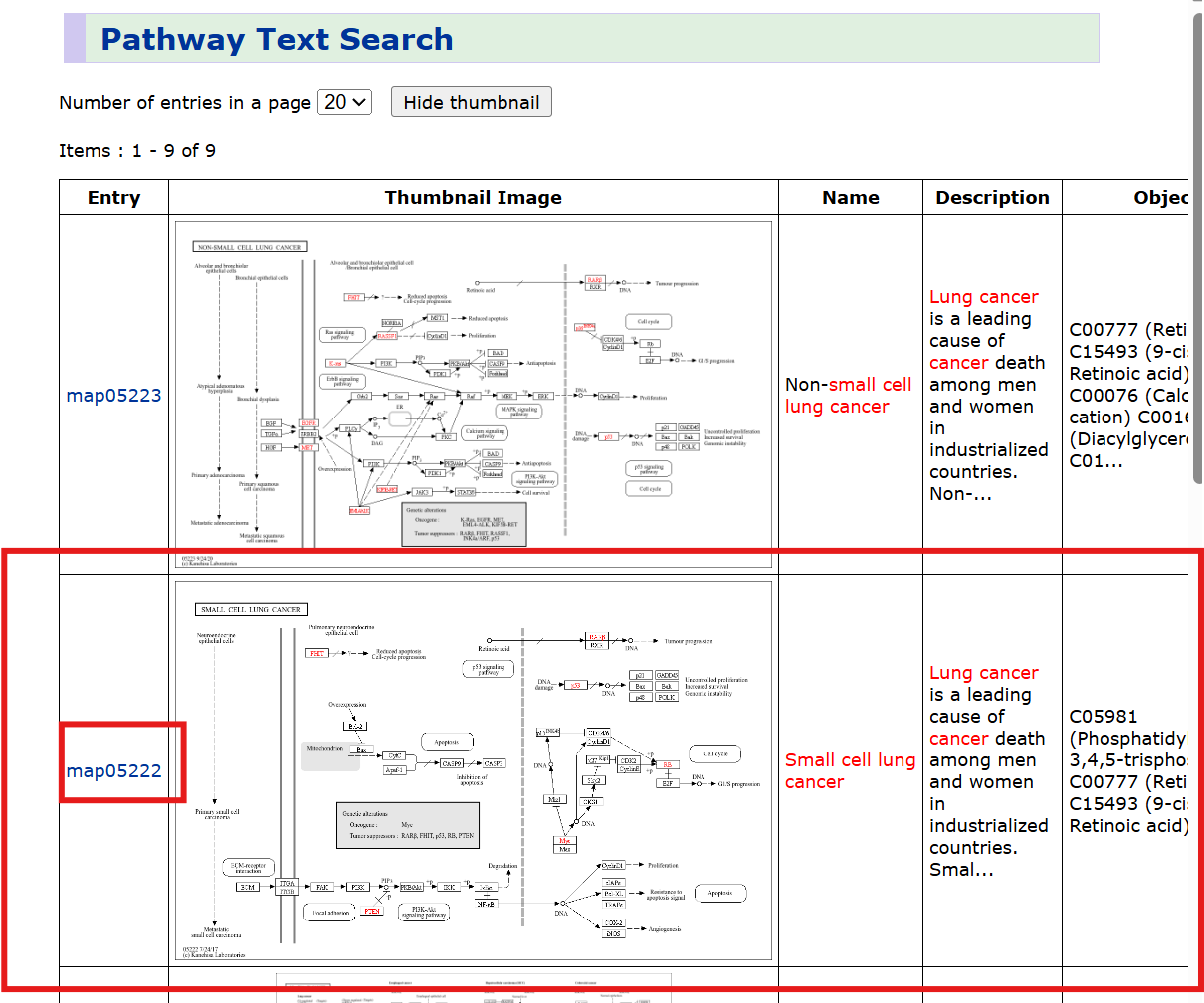 KEGGpathway2