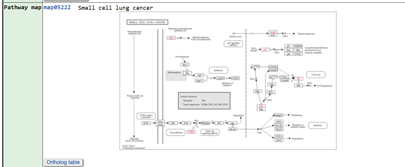 KEGGpathway3