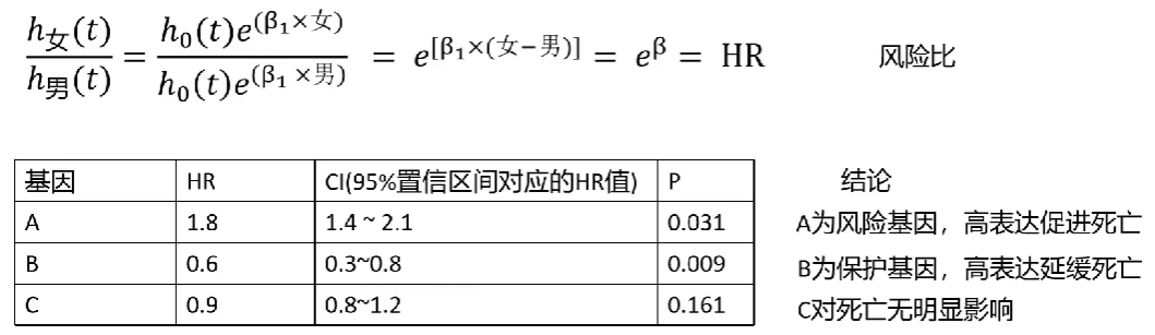 单因素cox分析例